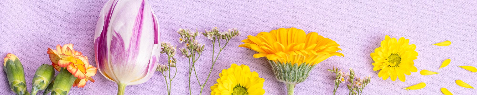 Pastel colors