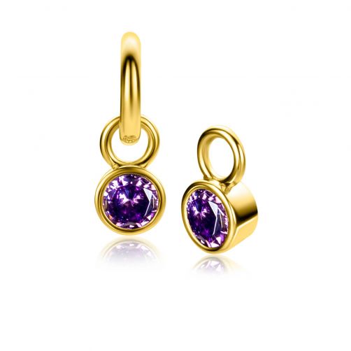 FEBRUARY Earrings Pendants Gold Plated with Birthstone Purple Amethyst Zirconia (excl. hoop earrings)