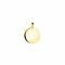 12mm ZINZI 14K Gold Pendant Trendy Shiny Coin ZGH397-12 (excl. necklace)