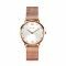 ZINZI Lady Crystal horloge zilvergekleurde wijzerplaat en roségoudkleurige kast stalen mesh band, witte crystals bij uuraanduiding, 28mm extra dun ZIW631M