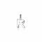 ZINZI Sterling Silver Letter Pendant R