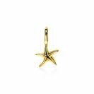 ZINZI Gold Plated Sterling Silver Pendant Starfish ZIH2064G