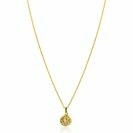 ZINZI zlv.collier gg.verg.met hanger rond zon en zirc.