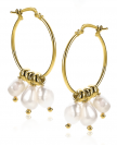 25mm ZINZI Gold Plated Sterling Silver Hoop Earrings White Pearls ZIO2187G