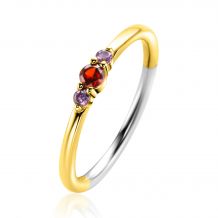 ZINZI Gold Plated Sterling Silver Ring with Small Prong Settings Red Garnet and Purple Color Stones 3mm width ZIR2563