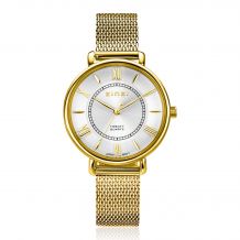 ZINZI Twenty horloge met zilverkleurige wijzerplaat, geelgoudkleurige kast 34mm en stalen meshband ZIW2033