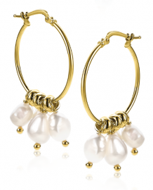 ZINZI Sterling Silver EarRings 14K Yellow Gold Plated Pearls