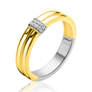 ZINZI zlv.ring gg.verg. 2 banen/r.hoek pave zirc.mt54